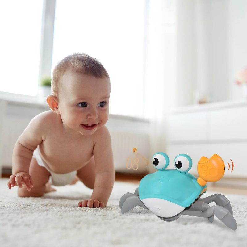 Crabe danseur | Crabo™