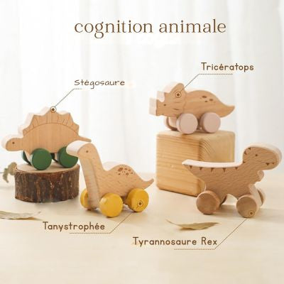 DinoCar™ – Mini Voitures Dinosaure en Bois Montessori